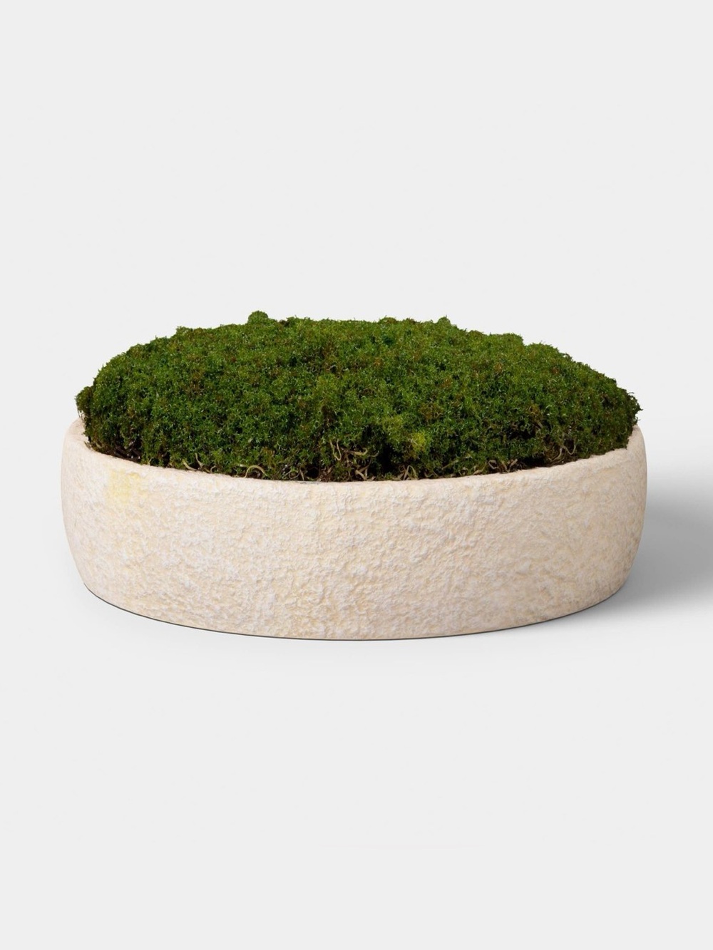 Small Moss Bowl - Threshold